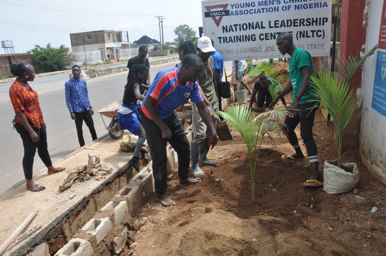 Some people planting a large tree