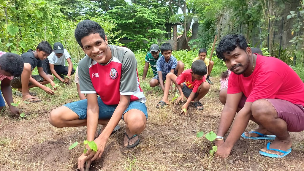 Lots of people planting lots of trees
